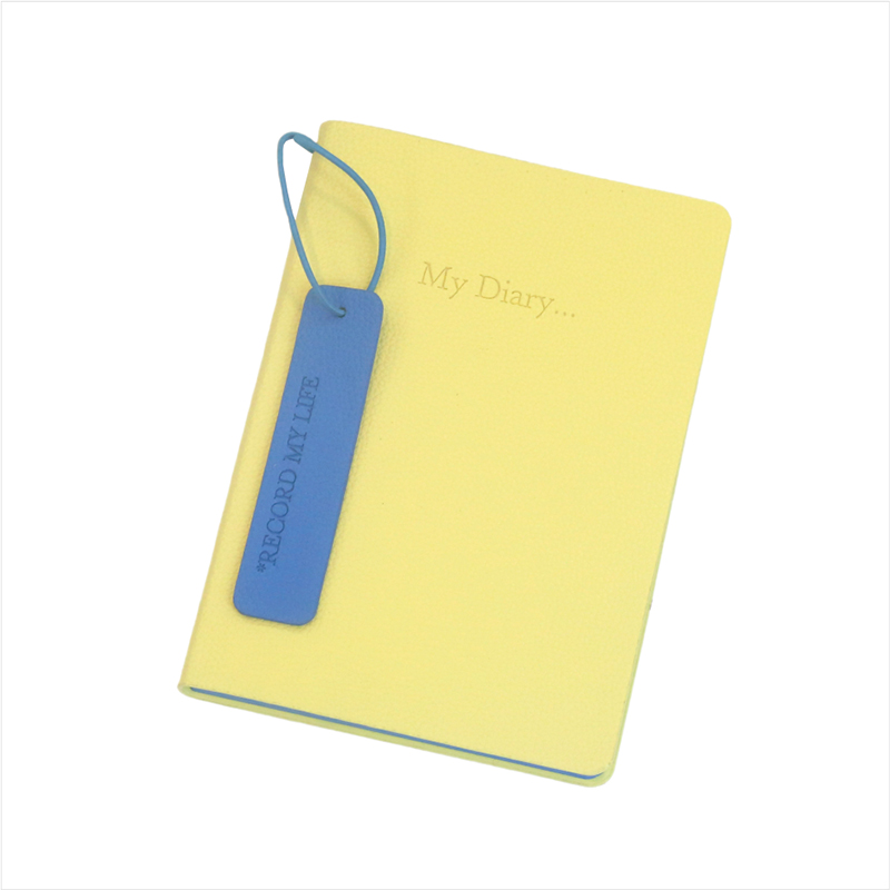 Notebook in pelle