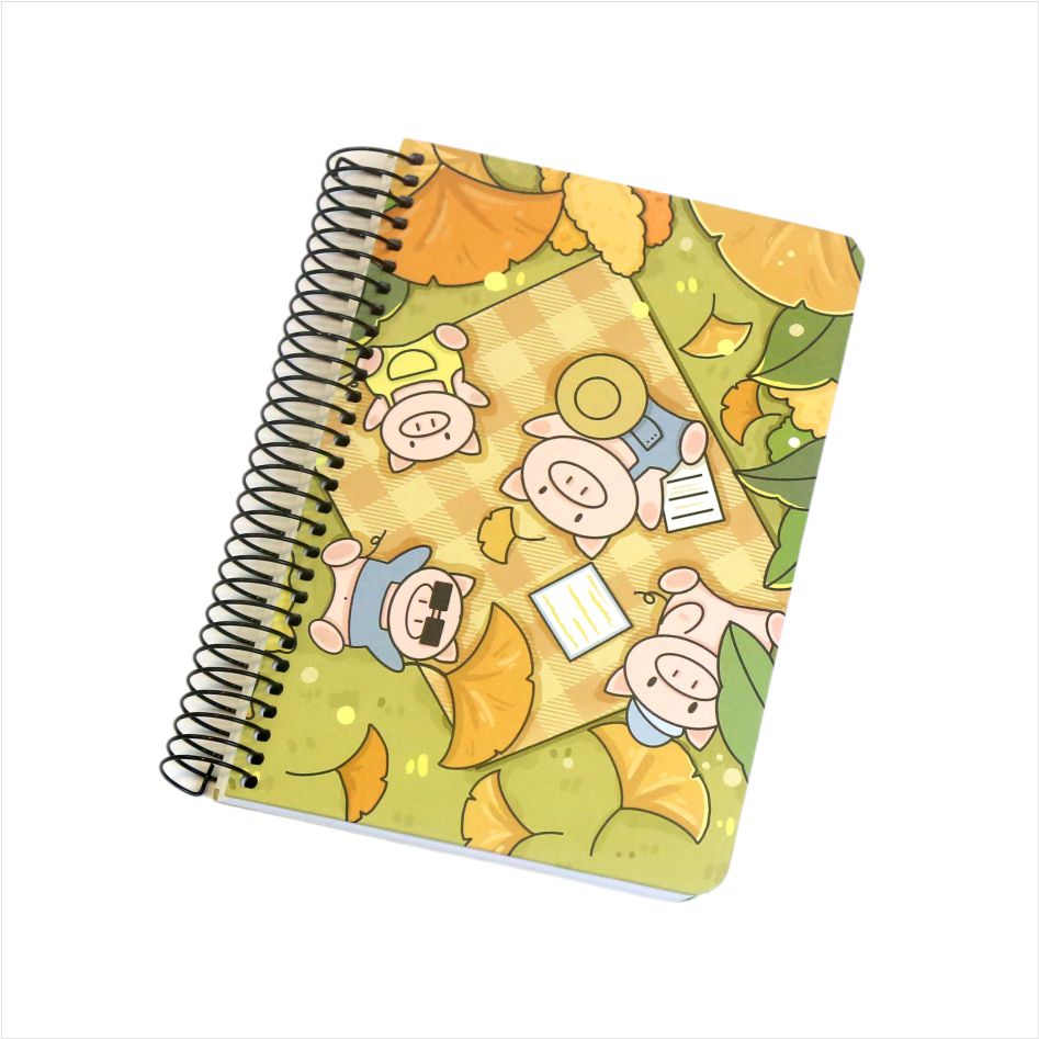 Notebook a spirale rilegati